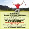 BUDDYBIRDIE Birdie Putt Green Reader | Poker Chip Style Ball