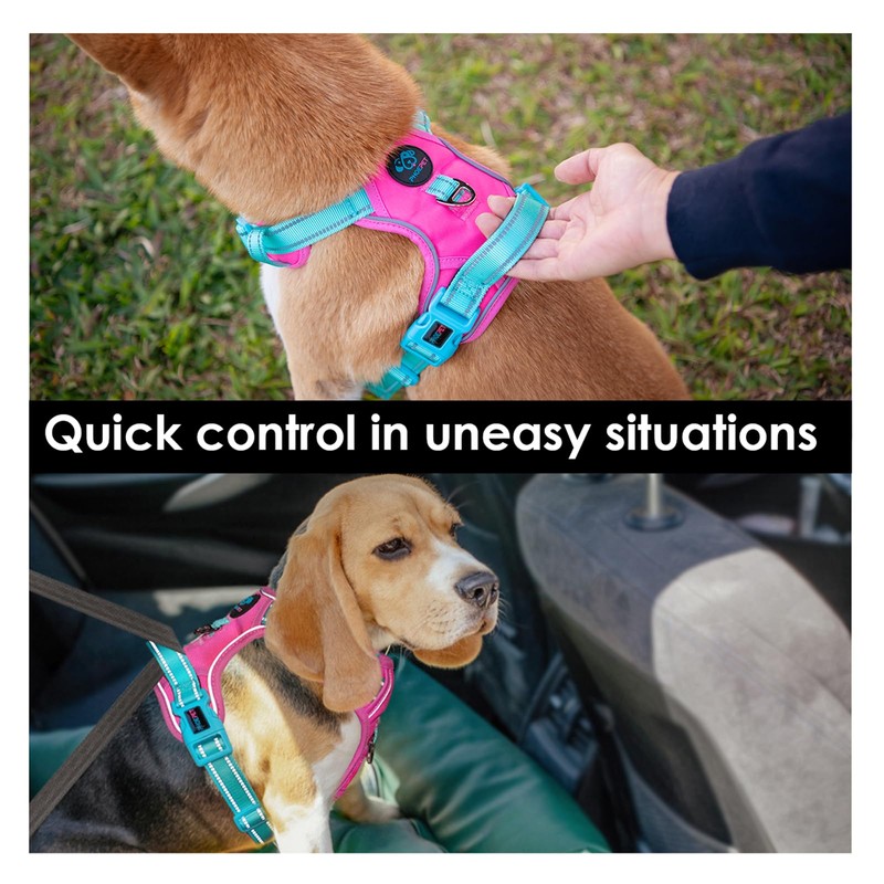 PHOEPET No Pull Dog Harness, Unique Colors Reflective Adjustable Dog