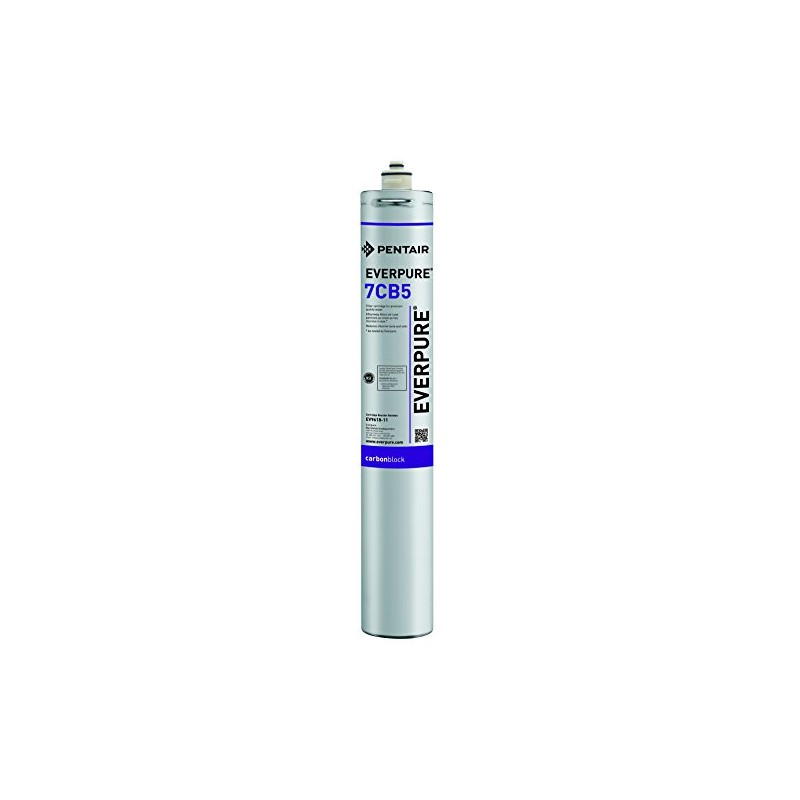 Everpure EV961816 7CB5 Filter Cartridge,1