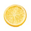 Tokyodo FV003640-zzz Lemon Slice, Φ2.0 x Depth 0.4 inches (5