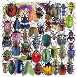 50 Pcs Insect Stickers Water Bottles Waterproof Bug Sticker Pack Transparent Vinyl Decals for Laptop Phone Car Luggage Skateboard Guitar Party Favors &Gifts for Adults Teens Girls