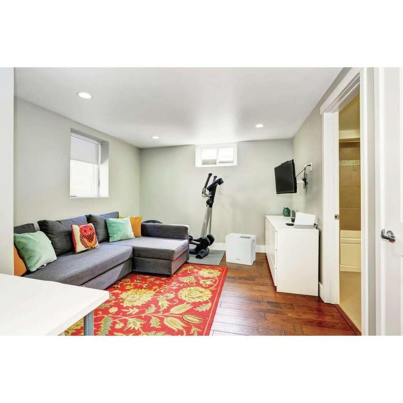 Frigidaire 22 Pint Dehumidifier