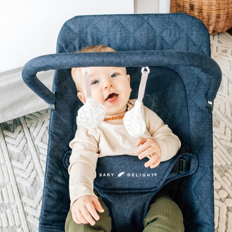 Baby Delight Alpine Deluxe Portable Bouncer, Infant, 0 – 6
