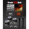 EVIL ENERGY 2.5" Leveling Lift Kit Compatible with 2004-2024 F150