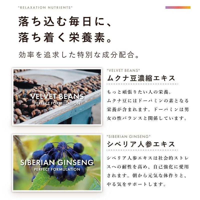 モチベーション 集中 ドーパミン サプリ ムクナエキス1袋12600mg ホスファチジルセリン イチョウ葉 シベリア人参 腸溶性