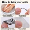 Eagle Beak Beveled Nails Clippers, Stainless Steel Angled Nail Clipper