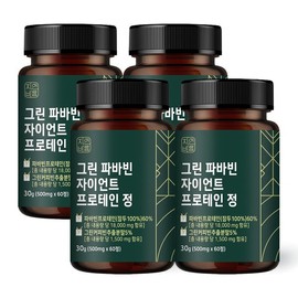 그린 파바빈 자이언트 프로테인 60정 4개 Green Parabavin Giant Protein 60 Tablets 4 Pack