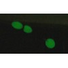 Breakaway Luminous Beads Large