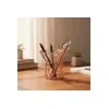 Home and Kitchen Essential Organizer for cleaning and household use,