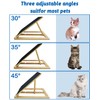cat Scratcher