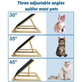 cat Scratcher