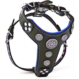 Bestia Bijou'' Genuine Leather Dog Harness for Small to Medium Breeds