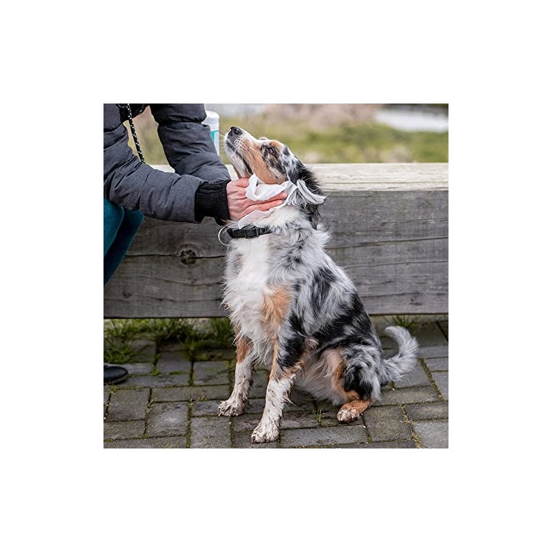 Nobby Universal Cleaning Cloth Dispenser Box Pack of 50