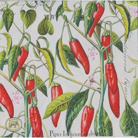 TWO Individual Napkins Chili Pepper Lunch Decoupage (597)