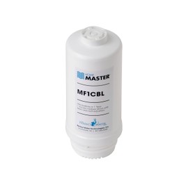 Home Master MF1CBL Mini Plus Replacement Filter, 6x4.5, White