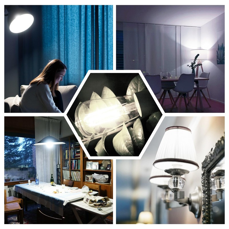 DAYBETTER 12 Pack Vintage LED Edison Bulbs, E26 Led Bulb