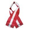 K's Novelties Set of 12 Latvia Country Lightweight Flag Printed