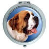 St.Bernard Kompakter Spiegel