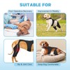 Marnonsis Dog Knee Braces for Back Leg,Support for Large Dogs,XL