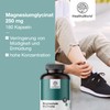 HealthyWorld HealthyWorld Magnesiumglycinat 250 mg - 180 Pflanzenkapseln - Fr