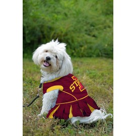 Pets First Collegiate Iowa State Cyclones Dog Cheerleader Dress, X-Small, Model:IS-4007-XS