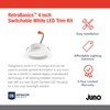 Juno 4 Inch LED Recessed Lighting, RetroBasics Series LED Downlight