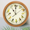 Wall Clock Bird Song Clock Original with 12 Native Songbirds