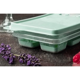 SALLYS Ice Cube Tray - Holds up to 12 Cubes (Pastel Green)