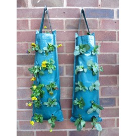 Bowry's Pack of 2 Hanging Strawberry Growbag Planters