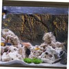 GRIRIW 3D Reptile Tank Background Plate Decorative Panel for Terrarium