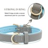 Tanpie Leather Dog Collar for Small Medium Large Dogs Soft