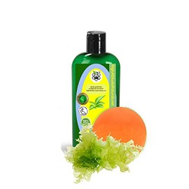 HIGH ALTITUDE NATURALS 4oz (120ml) Marine Micro-Algae Oil (Algal, Schizochytrium)- for Skin Hair Beauty - Omega-3, DHA-40