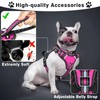 WINSEE Pet Harness Collar and Leash Set, All-in-one Reflective Dog