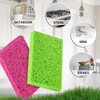 bioGo 30 Pack Compostable Pop-Up Sponges - Expanding, Non-Scratch, Plant-Based