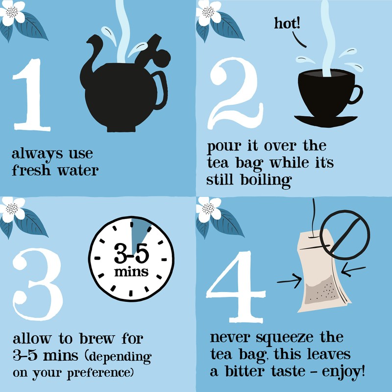 Clipper Organic Nettle Tea Bags | 120 Stinging Nettle Infusion