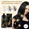 Shampoo Tinte Rapido Natural Cubre Canas Hombre Mujer 2pcs