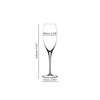 Riedel Sommeliers Vintage Champagne Glass