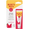 Burt's Bees Stocking Stuffers, Rescue Lip Relief, Watermelon, Hydrating Lip