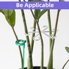JVNZAM 12 Pcs Transparent Plant Stem Support, Reusable Invisible Plastic