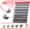 DIY Individual Eyelash Extensions Kit - Multiple Shapes for Custom
