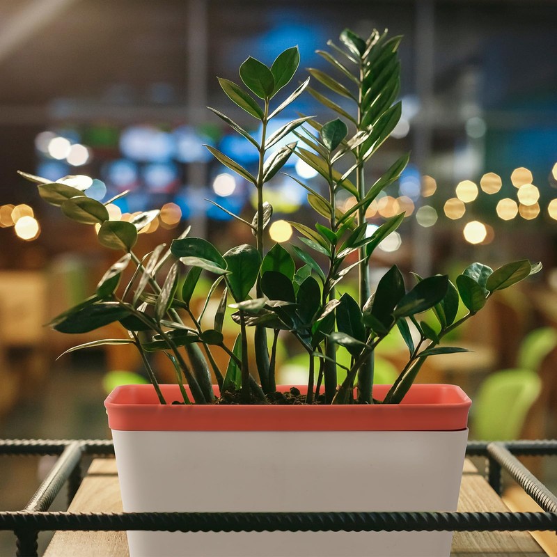 SiliFine 6 Set Window Herb Planter Box Self Watering Plant