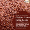Natural Garden Cress Halim Herbal Dried Herb Egyptian Spices Herbs