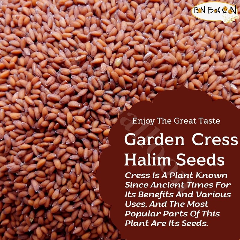 Natural Garden Cress Halim Herbal Dried Herb Egyptian Spices Herbs