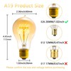 Sevici Edison Bulb, A19 Bulbs 6 Pack, Retro Style Incandescent