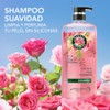 Herbal Essences Shampoo Suavidad Rosa Mosqueta 600 ml