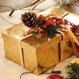 com-four® Pine Cones for Christmas – Pine Cones as Christmas Decoration – Decoration Cones – DIY Set – Christmas Decoration