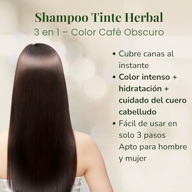 Shampoo para Pintar Canas, Shampoo Tinte Café Obscuro 3 en 1 Cubre Canas, Hidratante, Uso en Casa 500 ml | Fórmula Herbal + Brillo + Cuidado