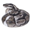 Hi-Line Gift 87680-B Regius Ball Python Statue