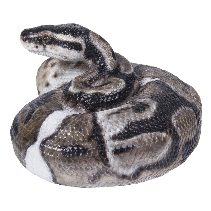 Hi-Line Gift 87680-B Regius Ball Python Statue