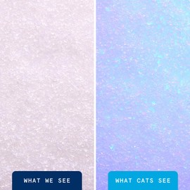 Boxie® Glo™ Natural Attractions™ 30 Day Odor Control Non-Clumping Cat Litter, 6lb Boxiecat Crystal Kitty Litter